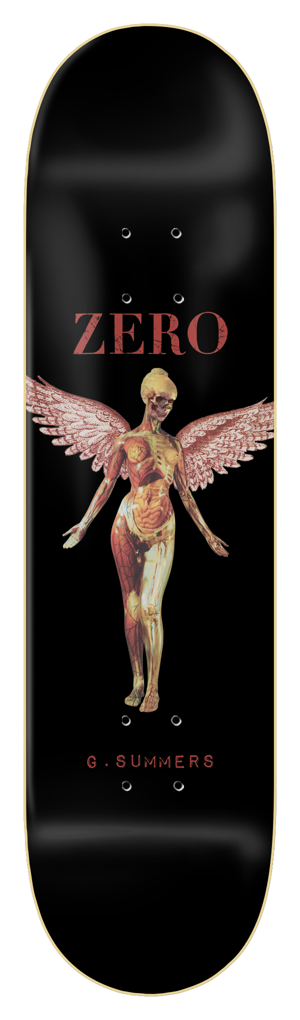 ANATOMY ANGEL