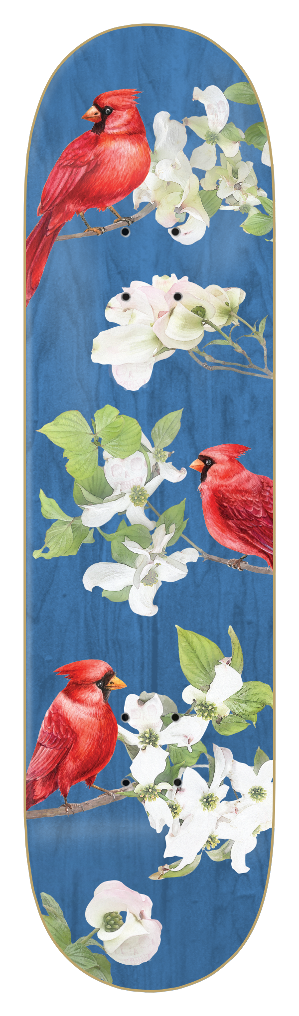 WIMER - CARDINAL - BLUE