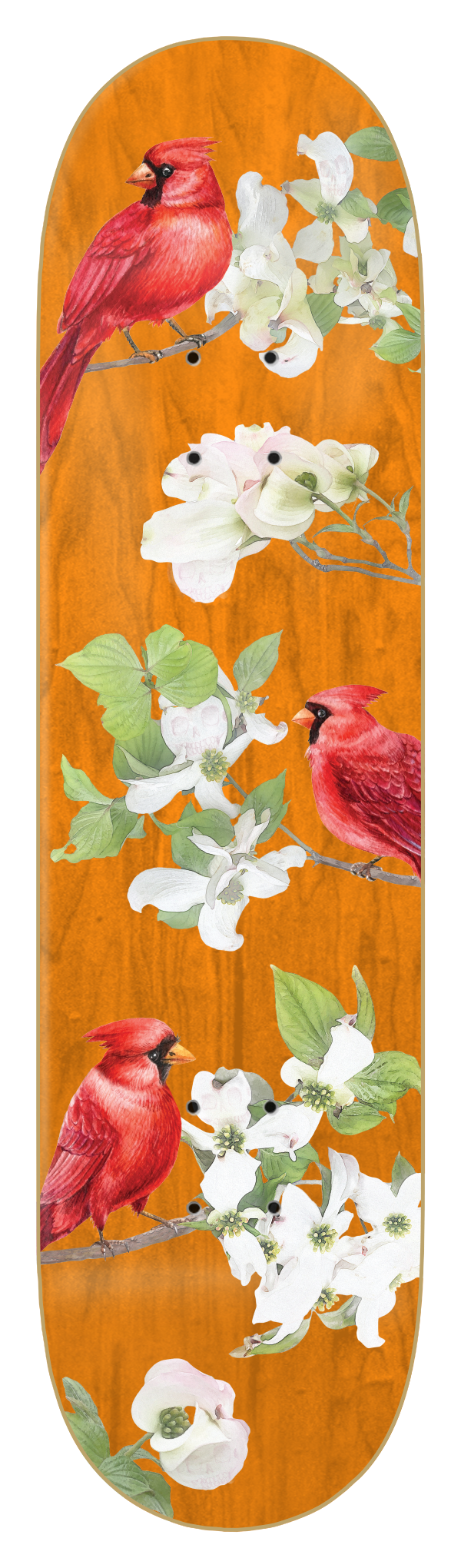 WIMER - CARDINAL - ORANGE