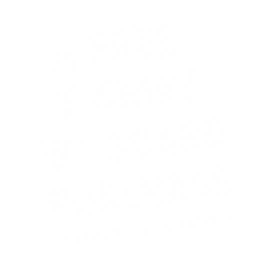 FREE S/S TEE WITH DECK PURCHASE - ASSORTED