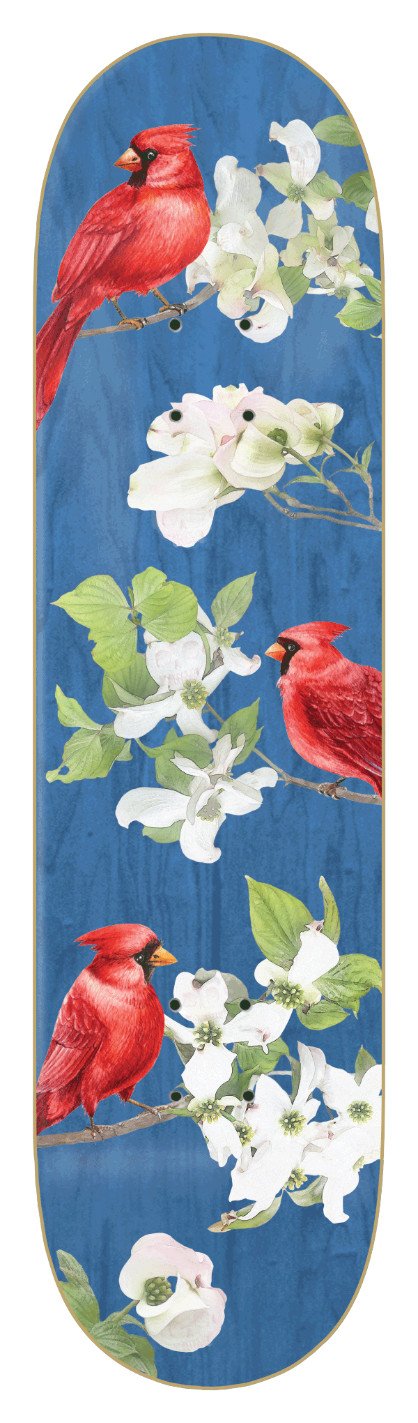 WIMER - CARDINAL - CHOOSE YOUR VENEER - 8.25 -SMALL BATCH