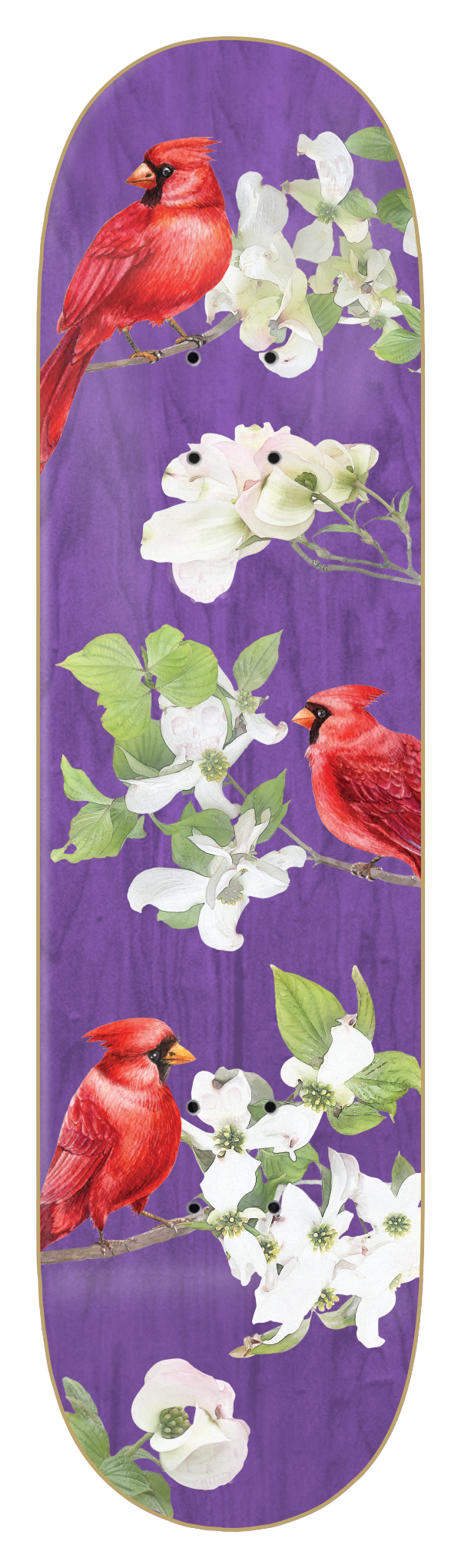 WIMER - CARDINAL - PURPLE